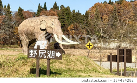 秋季從18號國道眺望野尻湖畔的瑙曼象母子雕像 134454292