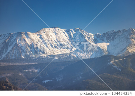 Tatra Mountains above Zakopane town in Poland, Europe. Majestic mountain range covered in pristine snow, set against a clear blue sky. Forested foothills add depth to the mountain scene. 134454334