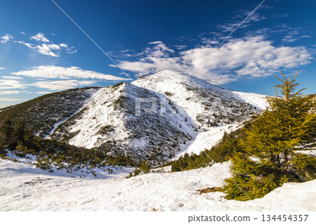 Snow-capped mountain peak under a blue sky. The Velky Krivan peak in The Mala Fatra national park, Slovakia, Europe. 134454357