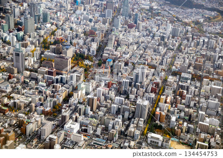 仙台市青葉區國分町地區的鳥瞰圖 134454753