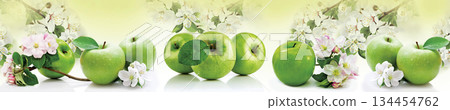 Horizontal composition of ripe green apples arranged with delicate spring apple tree blossoms and fresh leaves for a seasonal design. Horizontal composition of ripe green apples arranged with delicate spring apple tree blossoms and fresh leaves for a seasonal design. 134454762