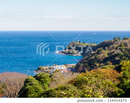 East Izu Coastline Journey: A journey filled with memories of the sea and roads 134454875