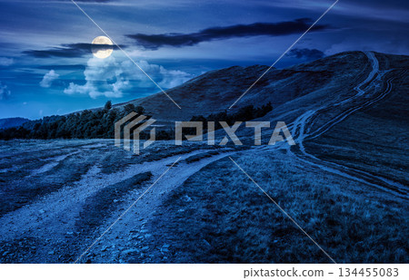 footpath through hills with forest at night. beautiful nature scenery in fine early autumn weather in full moon light. mountain landscape with dirt road. finance investment or abstract concepts footpath through hills with forest at night. beautiful nature scenery in fine early autumn weather in full moon light. mountain landscape with dirt road. finance investment or abstract concepts 134455083