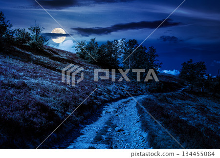 dirt gravel road winding uphill at night. hiking trail in mountain landscape under blue sky in full moon light. traverse path through steep slope. background for fake news or conspiracy concepts dirt gravel road winding uphill at night. hiking trail in mountain landscape under blue sky in full moon light. traverse path through steep slope. background for fake news or conspiracy concepts 134455084