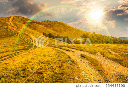 footpath through hills with forest at sunset. beautiful nature scenery in fine early autumn weather in evening light. mountain landscape with dirt road. storytelling cinematic image under the rainbow 134455100
