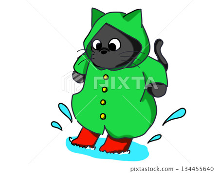 Black cat stepping in a puddle Black cat stepping in a puddle 134455640