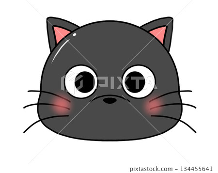 Kuroneko front face Kuroneko front face 134455641