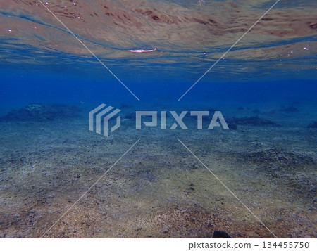 Water surface 134455750
