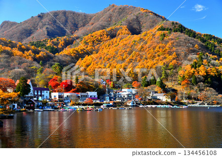 Lake Haruna (Takasaki City, Gunma Prefecture) [November 2025] 134456108