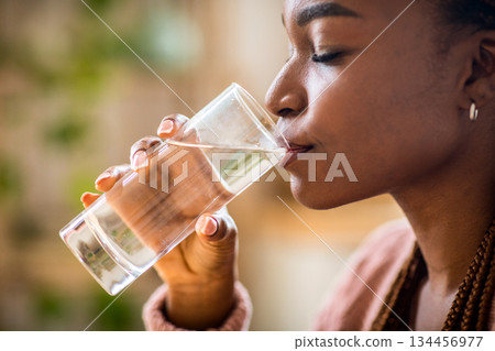 Body Hydration Concept. Closeup Of Black Millennial Female Enjoying Mineral Water, Thirsty African American Woman Drinking Refreshing Liquid From Glass At Home, Side View, Free Space Body Hydration Concept. Closeup Of Black Millennial Female Enjoying Mineral Water, Thirsty African American Woman Drinking Refreshing Liquid From Glass At Home, Side View, Free Space 134456977
