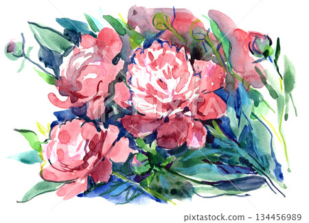 Watercolor painting of pink peonies and green leaves, expressive floral composition Watercolor painting of pink peonies and green leaves, expressive floral composition 134456989
