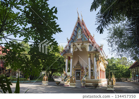 THAILAND UTTARADIT WAT KHUNG TAPHAO 134457350