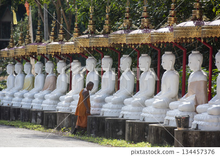 THAILAND UTTARADIT WAT KHUNG TAPHAO 134457376
