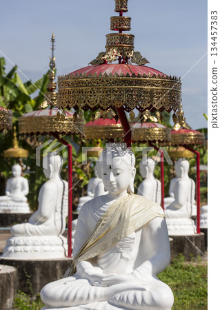 THAILAND UTTARADIT WAT KHUNG TAPHAO 134457383