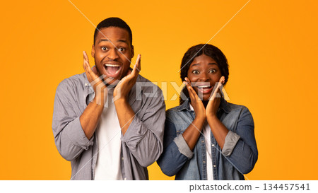 Great Offer. Amazed African American Couple Touching Cheeks In Excitement, Happy Black Lovers Emotionally Reacting To Nice Surprise, Standing Together Isolated Over Yellow Background, Free Space Great Offer. Amazed African American Couple Touching Cheeks In Excitement, Happy Black Lovers Emotionally Reacting To Nice Surprise, Standing Together Isolated Over Yellow Background, Free Space 134457541