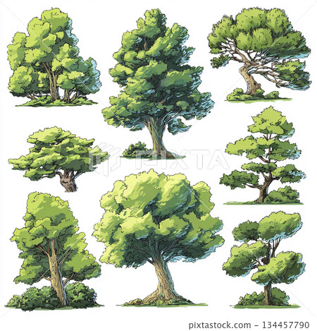 A collection of nine different stylized cartoon trees, featuring varied green foliage and trunk shapes, rendered in a charming, vibrant sketch style on a white background. A collection of nine different stylized cartoon trees, featuring varied green foliage and trunk shapes, rendered in a charming, vibrant sketch style on a white background. 134457790