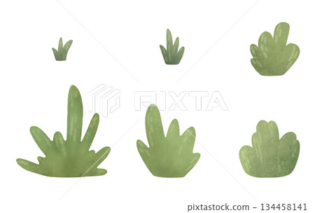 Set elements: isolated simple bushes, tufts of grass. Cartoon illustration in a flat style. Watercolor, pastel. For design of children's products Set elements: isolated simple bushes, tufts of grass. Cartoon illustration in a flat style. Watercolor, pastel. For design of children's products 134458141