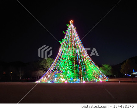 Christmas tree decorated with illuminations 134458170