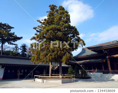寒川神社 寒川神社 134458609