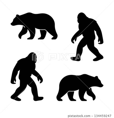 Vector silhouettes of bears and Bigfoot walking vector art isolated on a white background. 134459247
