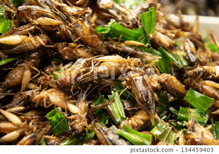 Fried insects are a popular street food in Thailand. 134459403