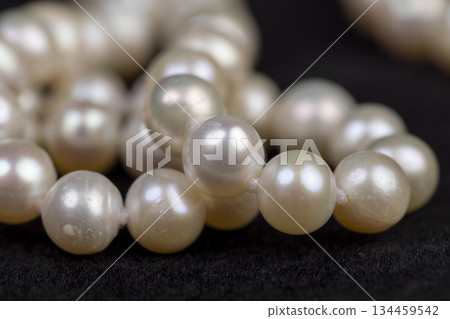 natural unpolished irregular shaped pearls from a marine mollusk used in the manufacture of women's jewelry beads, a necklace made from natural pearl beads strung on a string on black velvet 134459542