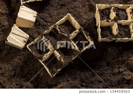 cardboard pots filled with earth for seedlings scattered in a field with fertile brown soil, paper disposable cups for seedlings in spring cardboard pots filled with earth for seedlings scattered in a field with fertile brown soil, paper disposable cups for seedlings in spring 134459563