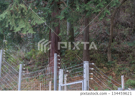 Electric fences to protect against bird and animal damage Electric fences to protect against bird and animal damage 134459621