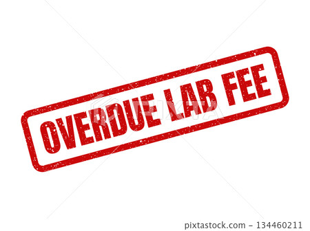 Grungy rectangular mark featuring OVERDUE LAB FEE text, indicating an outstanding payment for services Grungy rectangular mark featuring OVERDUE LAB FEE text, indicating an outstanding payment for services 134460211