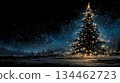 Christmas fir tree card. Fantasy fairy tale. New Year eve 134462723