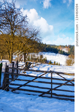 rustic wooden fence through snow covered hill. beautiful view on winter sunny morning in carpathian mountains. alpine village outskirts near forest in rural landscape. remote countryside of ukraine 134464094