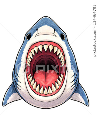 Shark with a big open mouth front 134464793