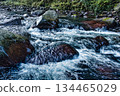 waterfall in the forest 134465029