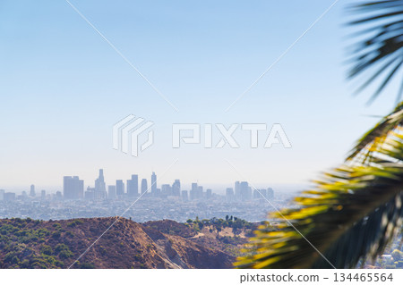 Los Angeles skyline with iconic skyscrapers on the horizon framed by vibrant palm leaves in the foreground Los Angeles skyline with iconic skyscrapers on the horizon framed by vibrant palm leaves in the foreground 134465564