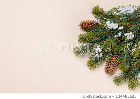 Snowy fir branches with cones on beige background 134465623