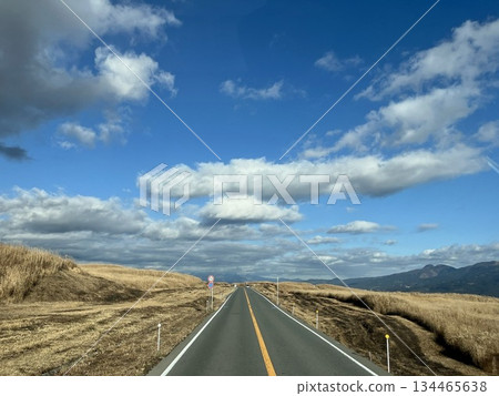 一條荒涼的道路筆直地延伸在藍天和廣闊的草原之下 一條荒涼的道路筆直地延伸在藍天和廣闊的草原之下 134465638