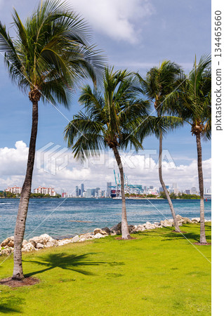 Modern skyline of Miami with towering skyscrapers, tropical vibe, and waterfront views 134465660