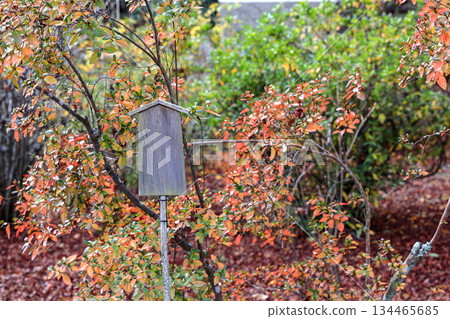 Empty retro wooden billboard in the autumn park. Signboard made of wood with space for text and graphics. 134465685