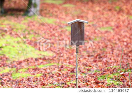 Empty retro wooden billboard in the autumn park. Signboard made of wood with space for text and graphics. 134465687