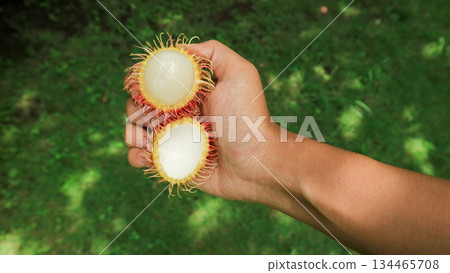 hand hold a rambutan fruit half peeled, showing the white flesh. Tropical fruit, healthy food  134465708