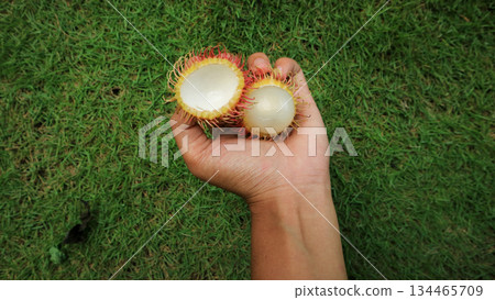 Sweet rambutan half-open in hand, organic tropical fruit  134465709