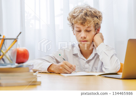 Schoolboy sitting at home, with focus and concentration while doing homework Schoolboy sitting at home, with focus and concentration while doing homework 134465986