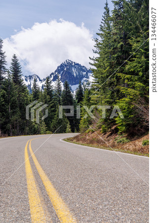 Scenic road in Mount Rainier National Park with fir trees on both sides and a snowy mountain 134466077