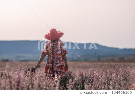 Woman Lavender Field Sunset: Summer stroll through purple Provence flowers enjoying nature's beauty. 134466160
