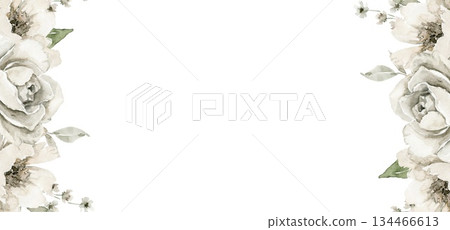 Hand drawn floral frame illustration with off white peonies and green leaves on opposite sides. Ideal for wedding invitation, anniversary card, funeral cards, packaging, branding element, menu design 134466613