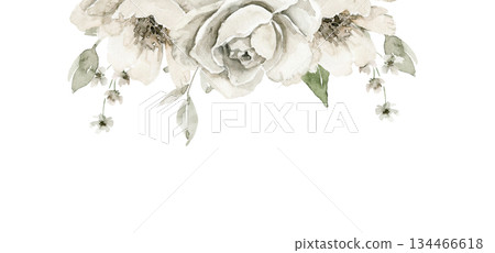 Hand drawn floral illustration of a decorative top border frame with off white peonies, green leaves and small buds. Ideal for invitation card, greeting design, packaging or branding header element. 134466618