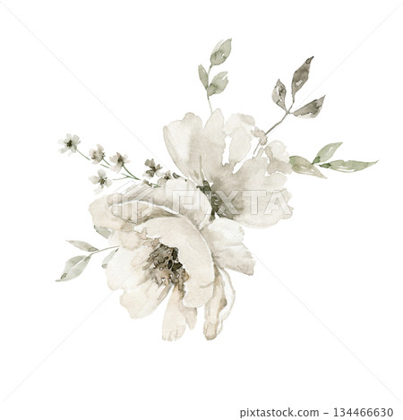 Single off white watercolor style flower with loose green leaves and tiny blush pink buds, in gentle artistic composition. Used for small greeting card, logo, product sticker or invitation graphics. 134466630