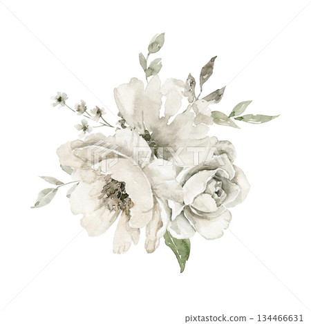 Loose watercolor illustration of double off white blooms with green leaves and woody accents. Designed for wedding invitation, packaging label, website graphic, or spring themed greeting card. 134466631