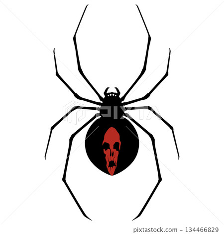 Redback spider 134466829