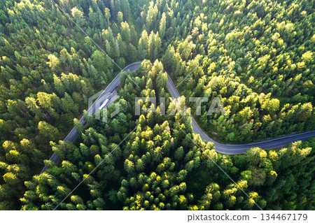 Aerial view of winding road in high mountain pass trough dense green pine woods. 134467179